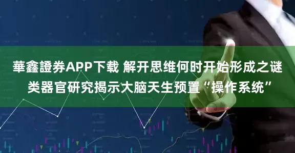 華鑫證券APP下载 解开思维何时开始形成之谜 类器官研究揭示大脑天生预置“操作系统”