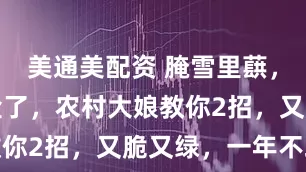 美通美配资 腌雪里蕻，别只会放盐了，农村大娘教你2招，又脆又绿，一年不坏
